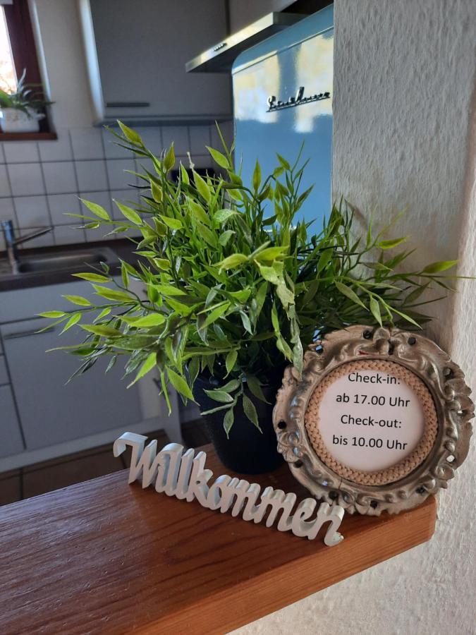 Schoene Einzimmer Wohnung Zwischen Bodensee Und Allgaeu Neukirch  Exteriér fotografie