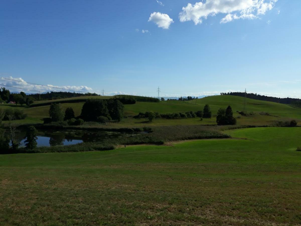 Schoene Einzimmer Wohnung Zwischen Bodensee Und Allgaeu Neukirch  Exteriér fotografie